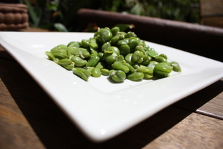 Vivid great broad beans