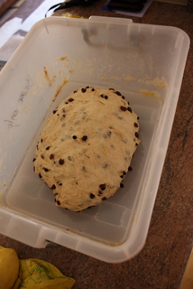 Fruit added - pre-final prove Fruit added - pre-final prove