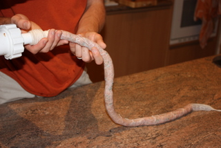 Let the mince evenly fill the casing