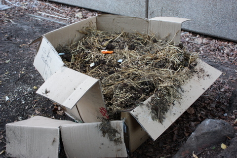 A few cardboard boxes give the compost structure while it starts to rot