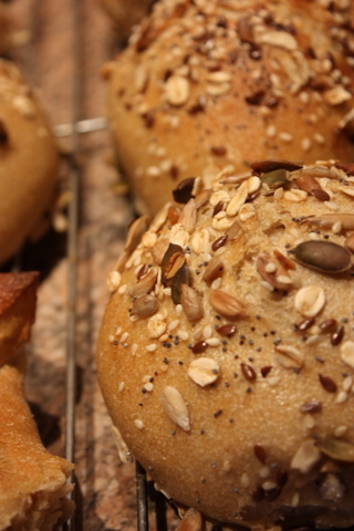 My first attempt at sourdough