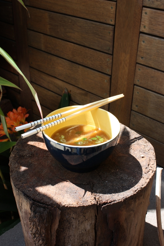 Asian style chicken and noodle soup
